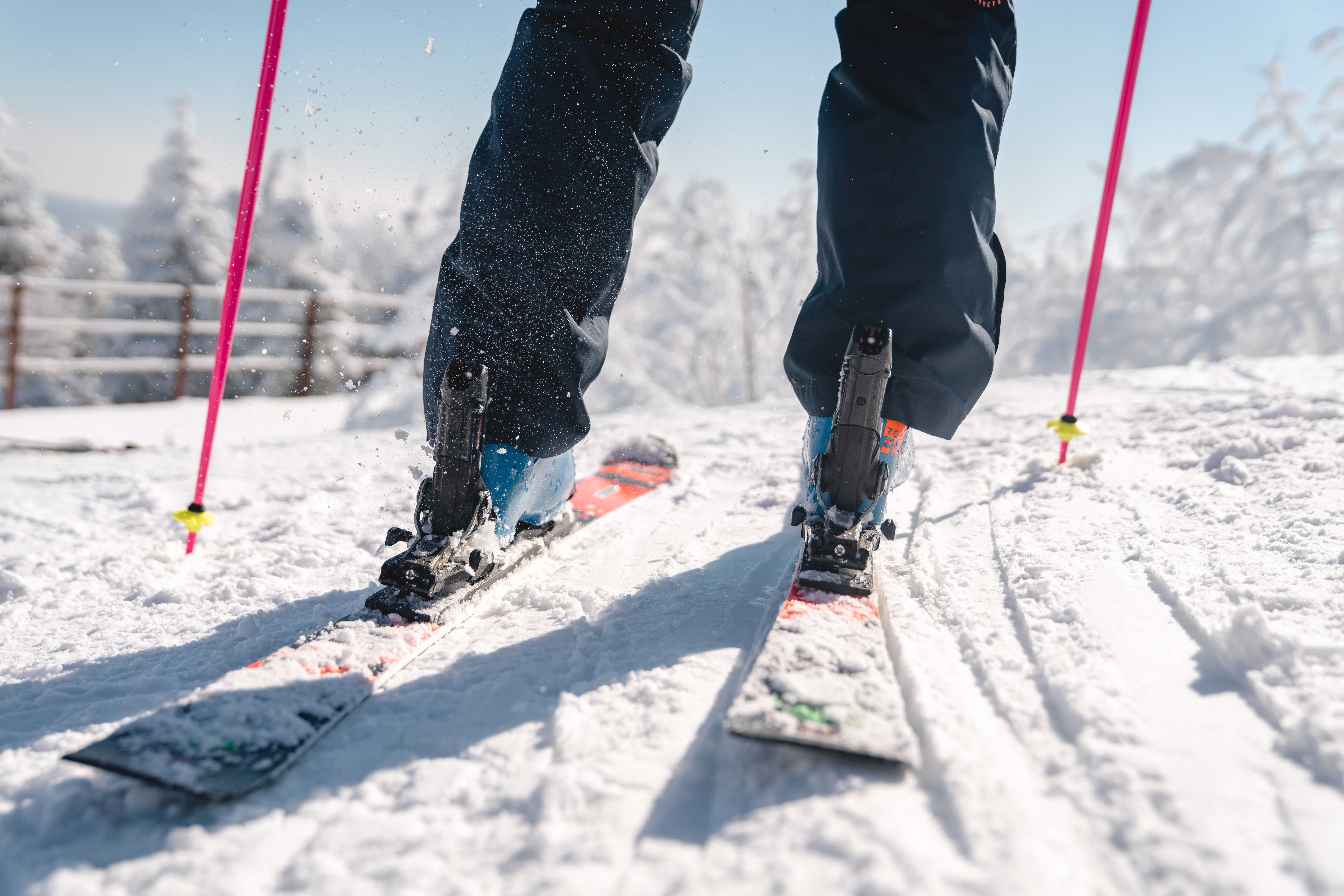 Alpin-Skitest am 17.-18.01.