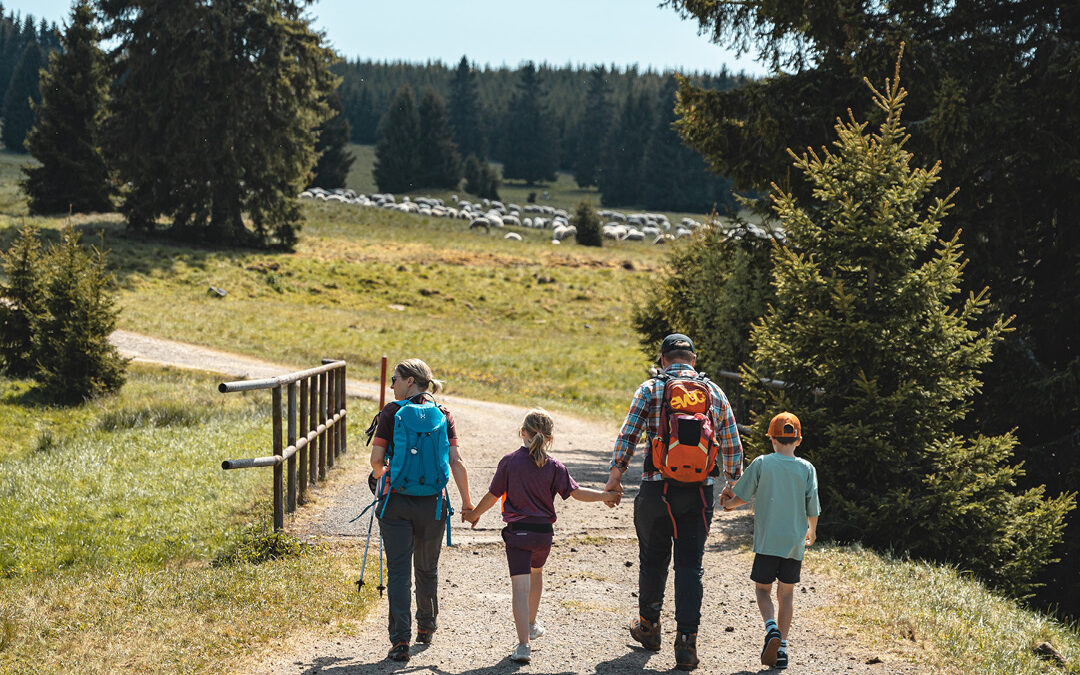 EURORANDO 2026: Wandern im Herzen Europas