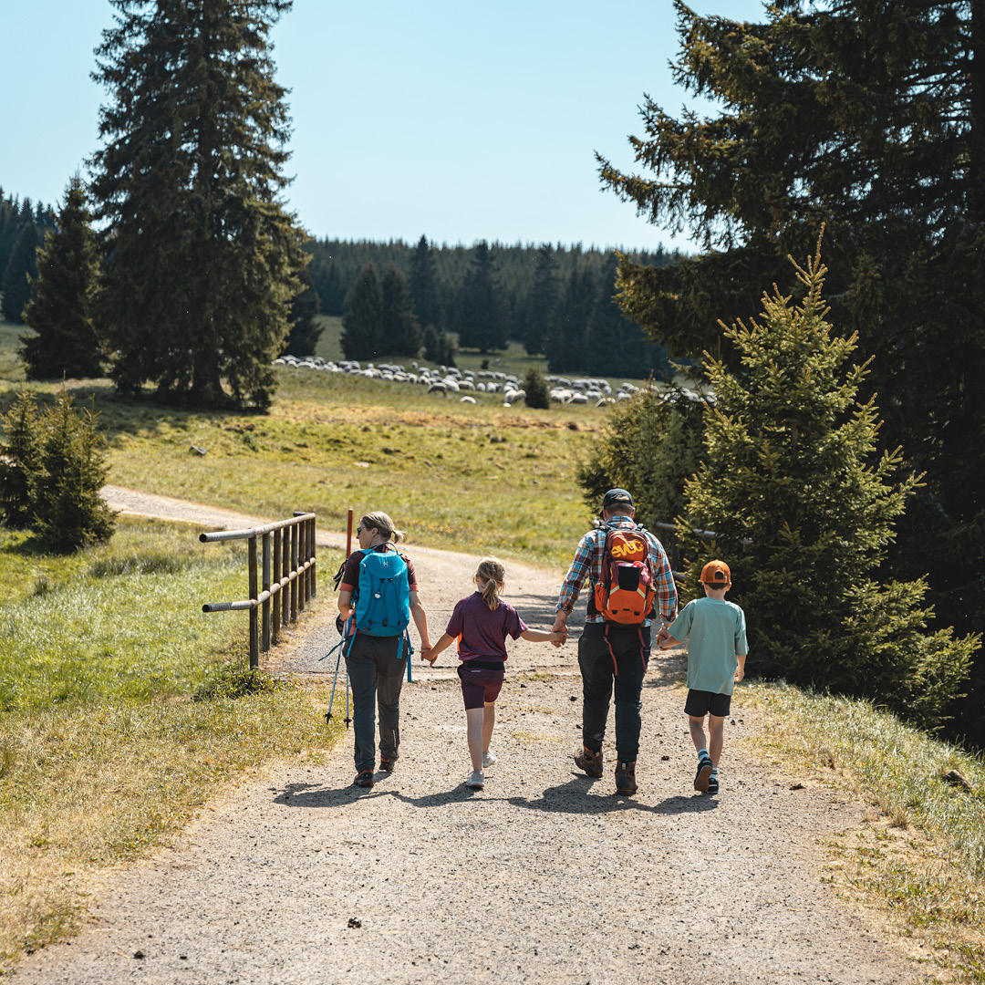 EURORANDO 2026: Wandern im Herzen Europas